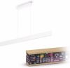 Philips Hue Ensis White and Color hanglamp 929003053301 online kopen