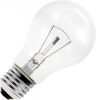Philips | LED Insteeklamp 12V | G4 Dimbaar | 2W(vervangt 20W ) online kopen