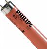 Philips Master Tl d Gekleurd 18w/15 Rood 59cm online kopen