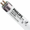 Philips | TL Buis | T5 G5| 14W 549mm 3000K Warm wit online kopen