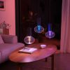 Philips Hue Lightguide 6, 5W White and color Ellipse 929003151301 online kopen
