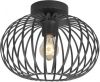 Freelight Plafondlamp Aglio Mat Zwart 33cm online kopen