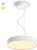 Philips Hanglamp Hue Enrave White AmbianceØ 42, 5cm wit 915005998001 online kopen