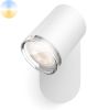 Philips Witte badkamerlamp Hue Adore White Ambiance 929003056101 online kopen