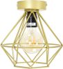 Urban Interiors Plafondlamp WireØ22cm goud AI CL 2111 G online kopen