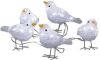 Konstsmide Led Kerstverlichting Met 5 Vogels 5 Meter online kopen