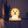 Mr. Maria Lion First Light oplaadbare kinderkamerlamp online kopen