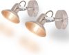 VidaXL Wandlampen voor 2 peertjes E14 zilver 2 st online kopen