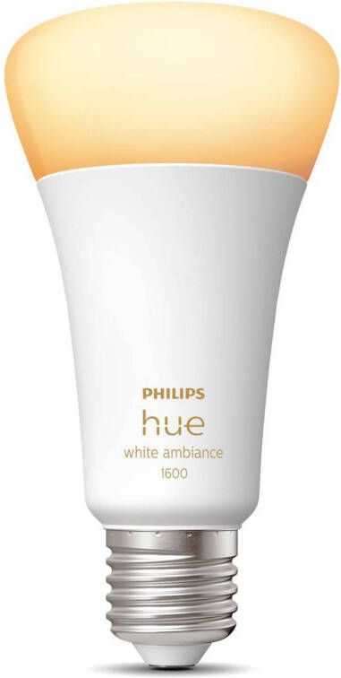Philips Hue E27 13W White and Color 929002471901 online kopen