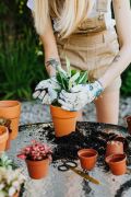 Tips en ideeën om je tuin te versieren